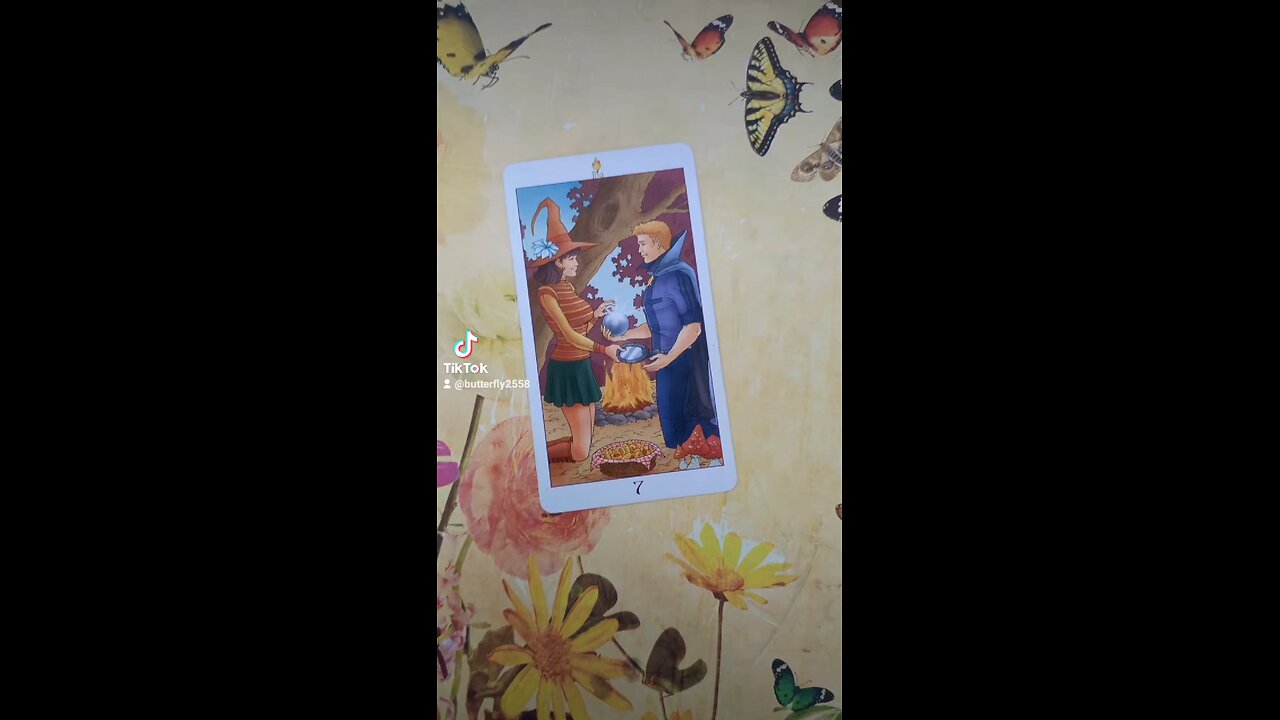 Butterfly Daily Tarot - contracts