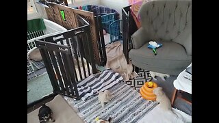 T & V - Growing So Fast! (4)
