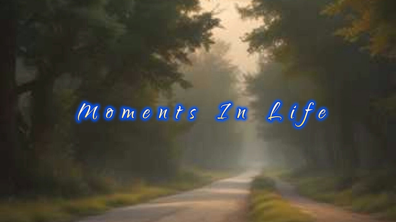 Moments In Life