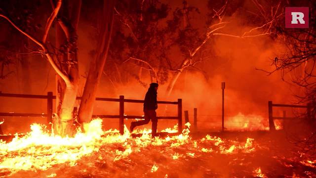 Man rescues rabbit from wildfire | Rare News