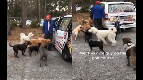 Adorable and train service dogs. Waiting their name to be called before getting in the car