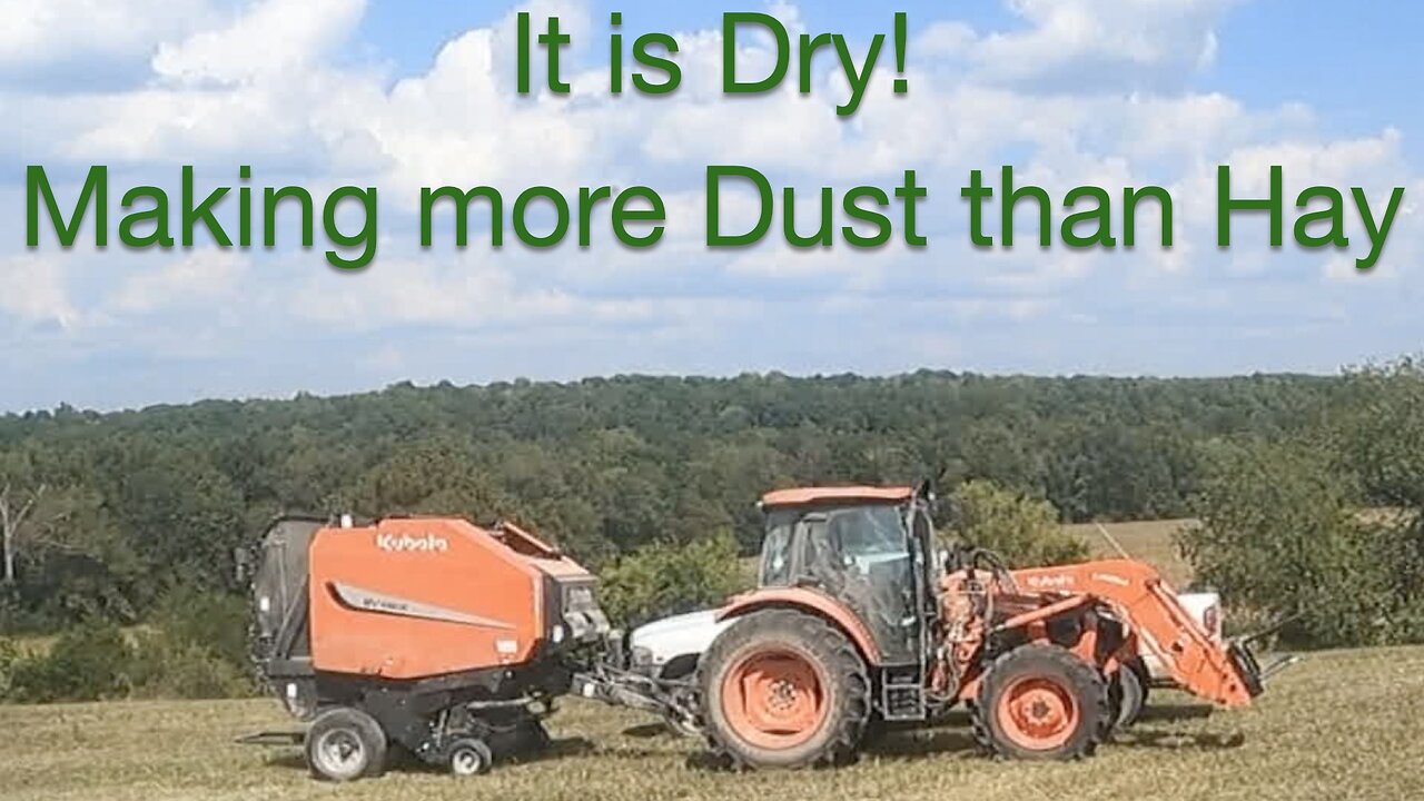 It is Dry! Making more dust than Hay