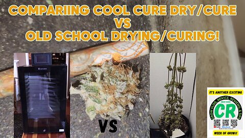 CR's 2024 Spring Growing Season - Comparing Cannatrol Cool Cure vs Old School Dry/Cure!