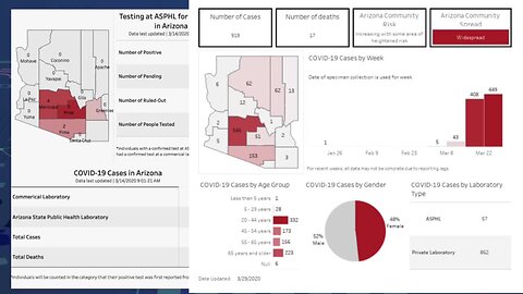 Demographic data for COVID-19 in Arizona