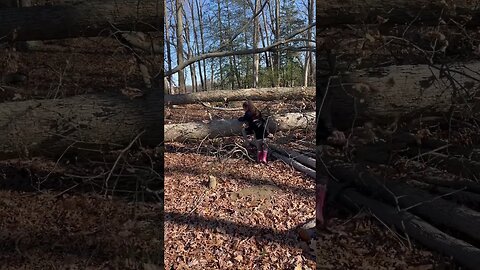 The girls love being outdoors🌳 #adventure #nature #toddlers #fun #fy #fyp #goodlife #happy