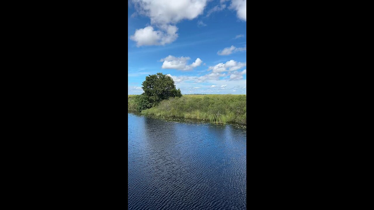 Livestream Replay 9/24/2023 - Everglades Rest Area #Everglades #Alligator #Gator #I75 #LiveStream