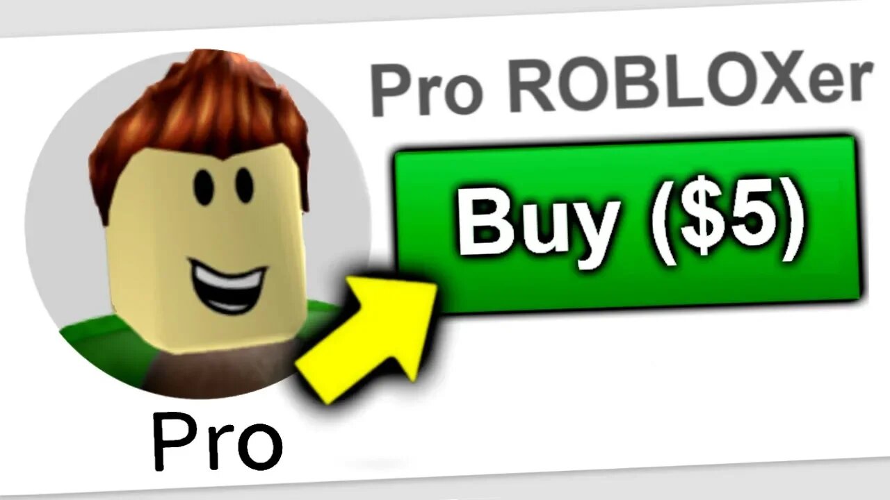 i hired a roblox “Pro” to teach me how to play...