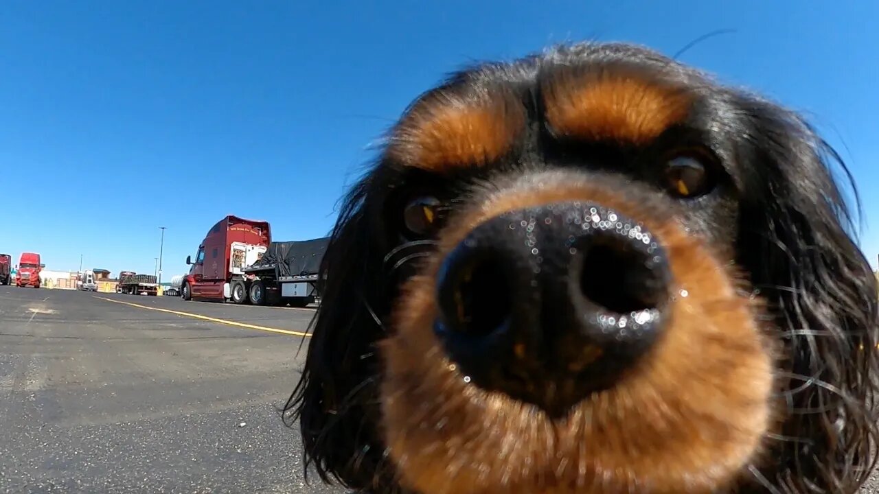 Episode 5 Bozeman, MT