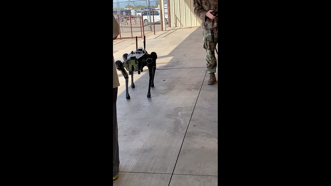 USAF “dog” demonstration