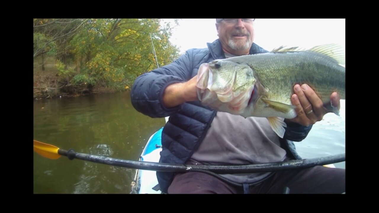 bass fishing at green lane