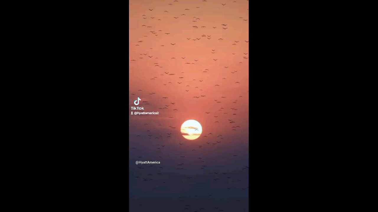 I Am Gonna Miss R.I.P Toby Keith