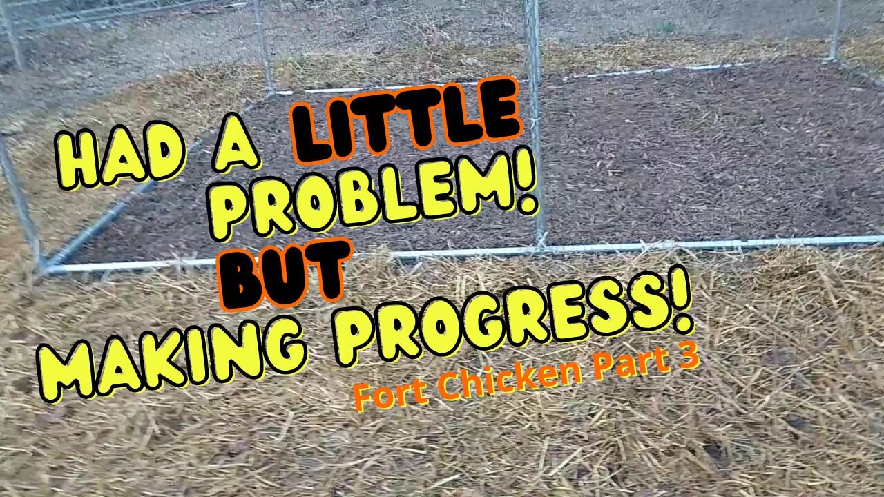 Attaching Chicken Wire to Amazon Chicken Run | "Fort Chicken" Opening Soon