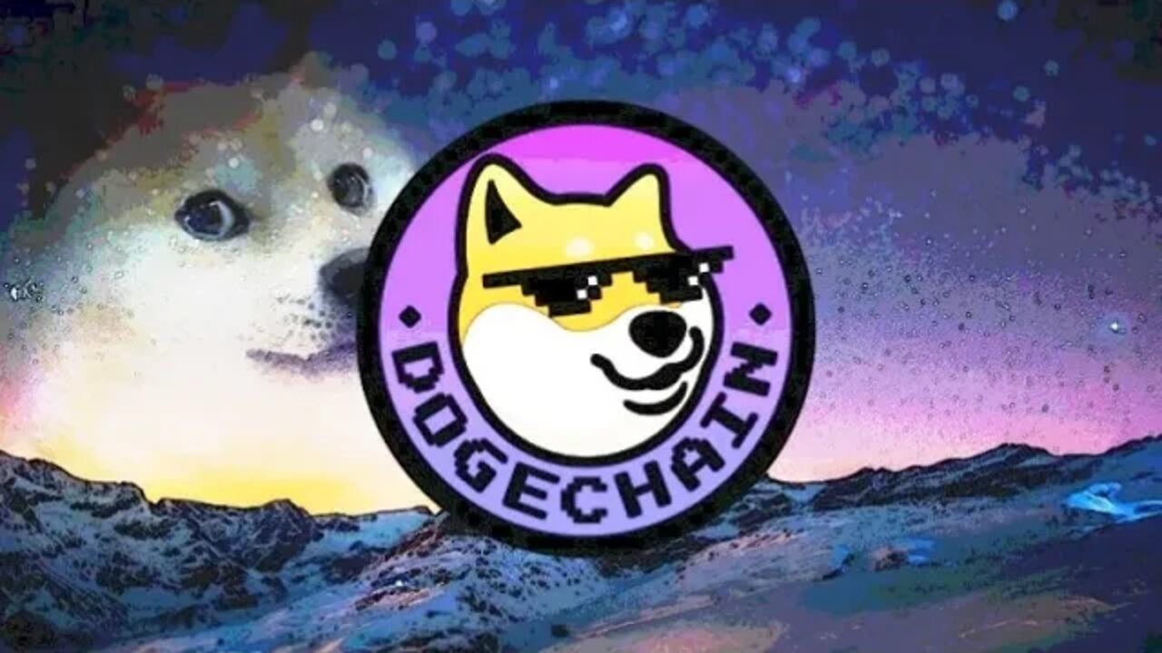 Dogechain & Shina inu update.
