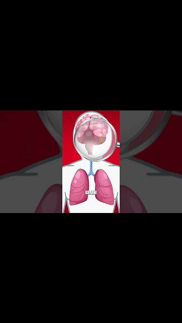 What does a DPF actually filter out?