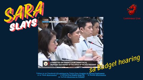 Sara Slays in the budget hearing