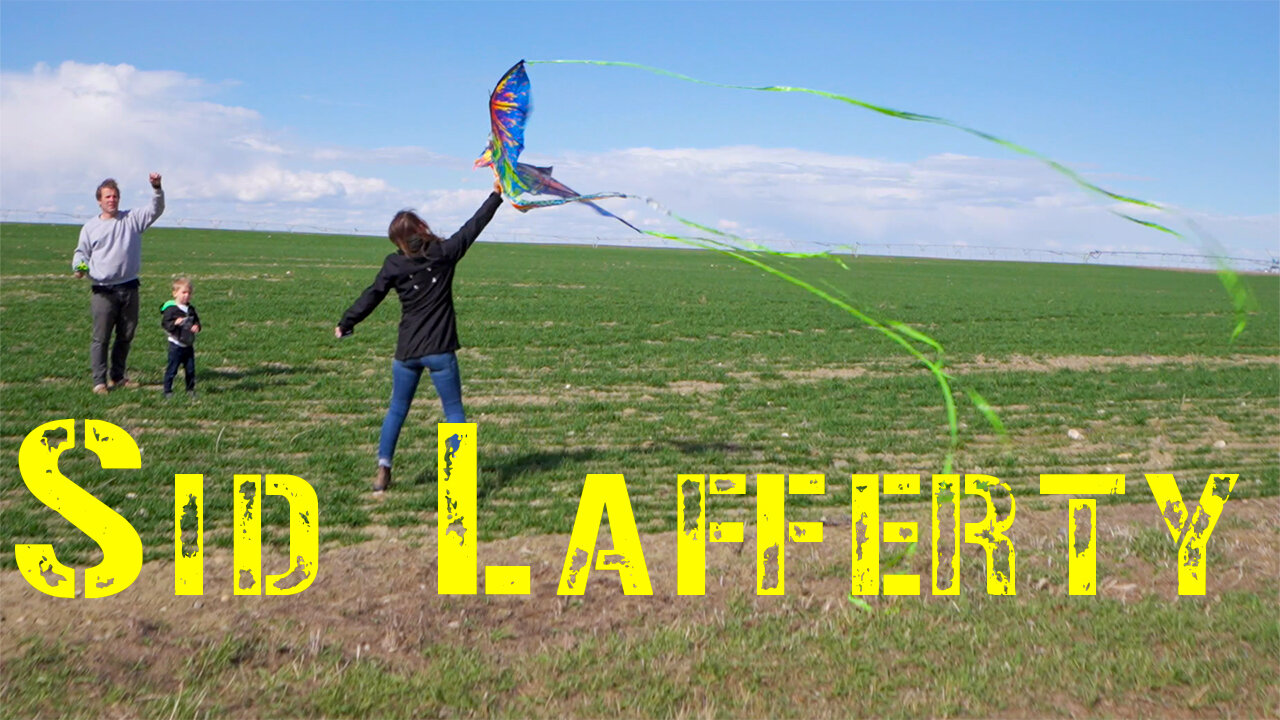 339. Go fly a kite.