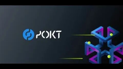 Pocket Network; Nodes of the Future.