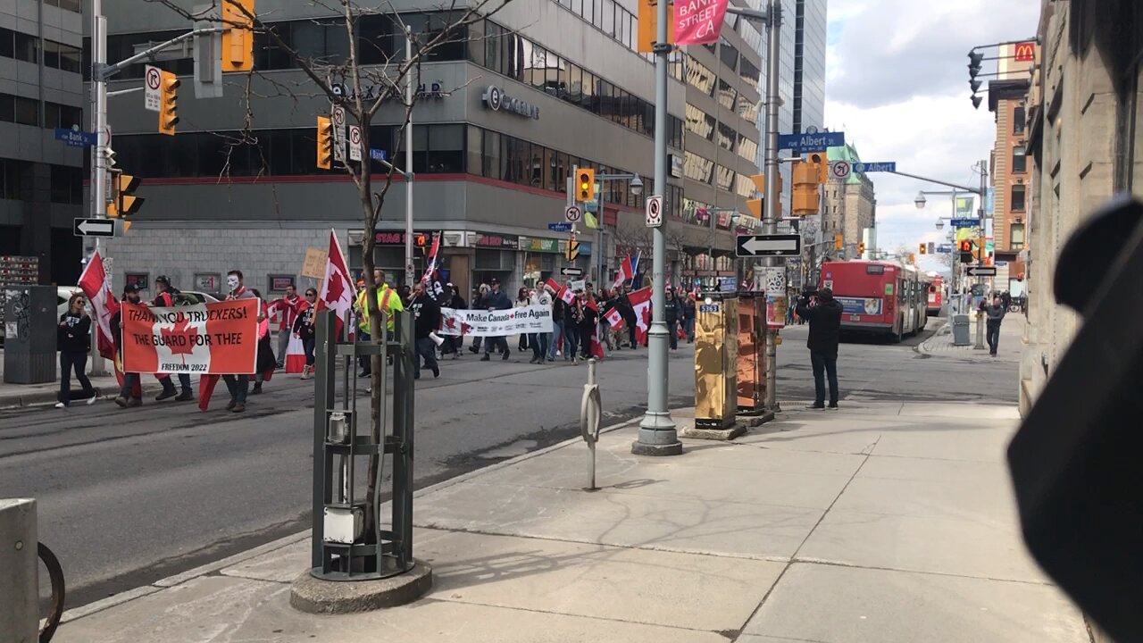 Freedom Fringe Ottawa