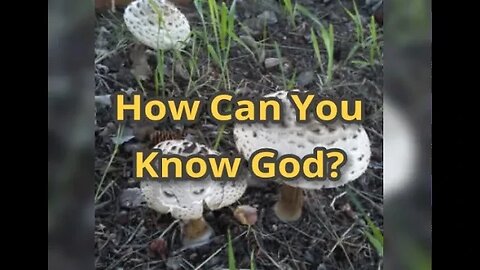 Morning Musings # 569 - How Can You Know God?