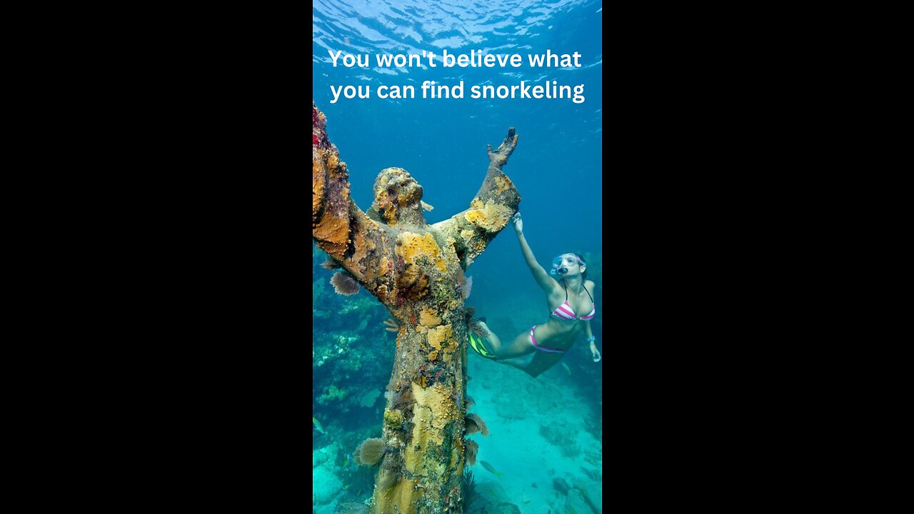 You Won’t Believe What You Can Find Snorkeling #snorkeling #underwaterphotography #sealife #scuba