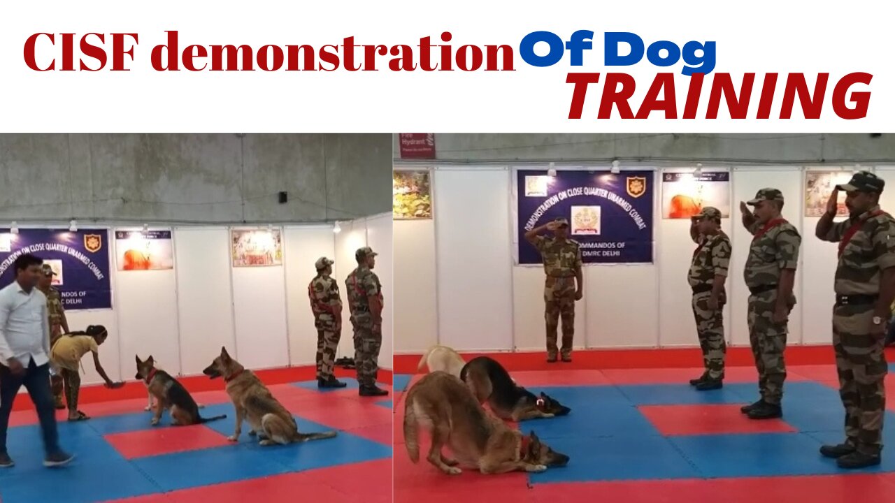 CISF demonstration of Dog training