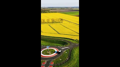 Aerial view of vast flower field in bloom