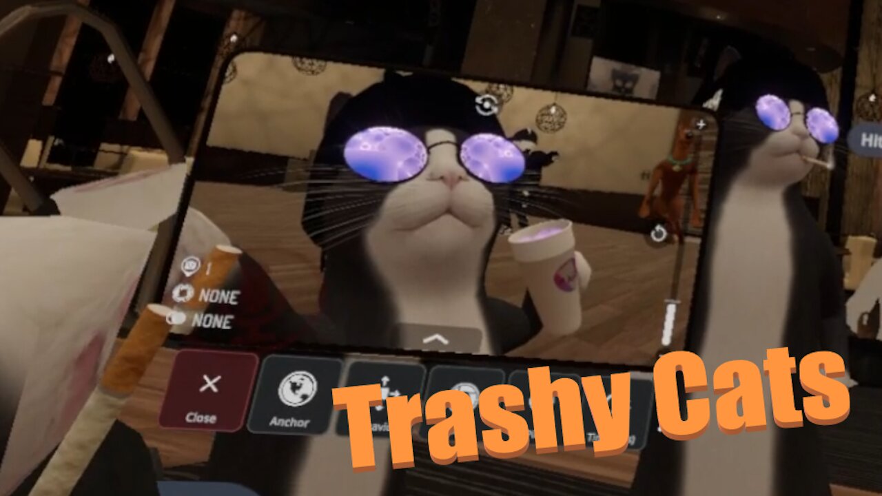 A Southern Cat in VR Chat