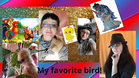 FAVORITE BIRDS!