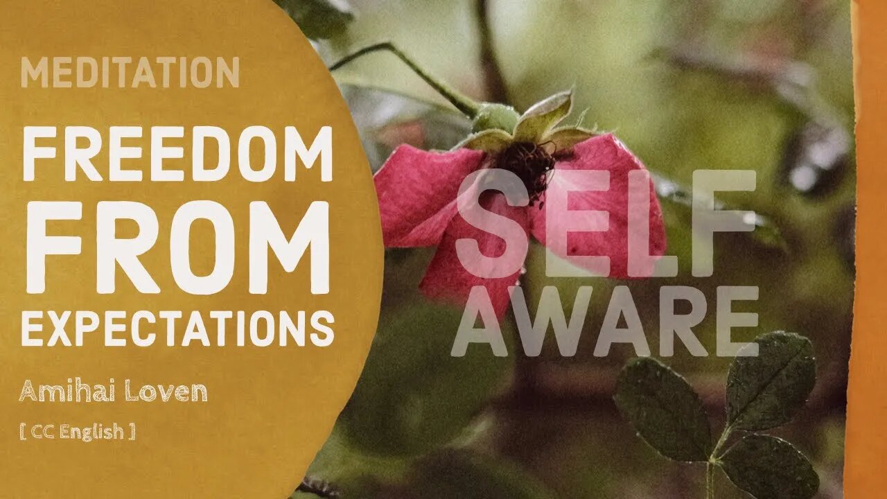 Freedom from expectations | Self Aware Meditation | Amihai Loven