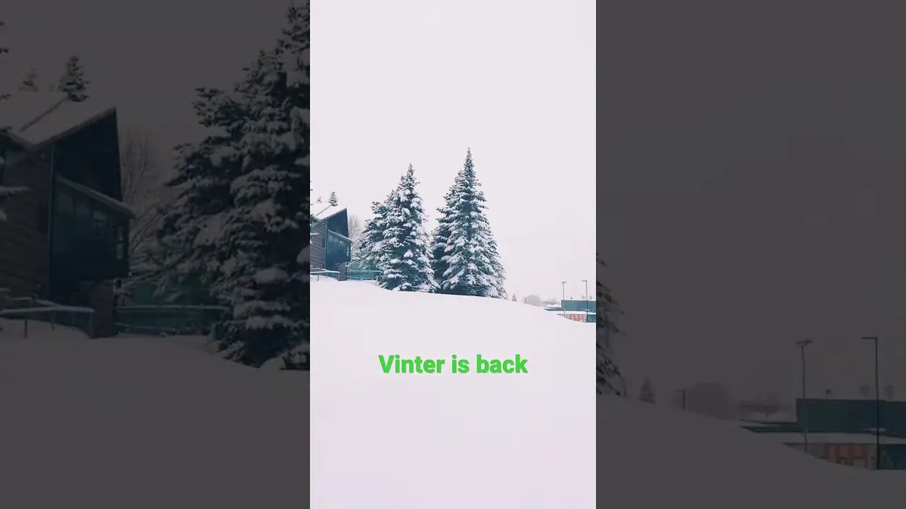 #vinter