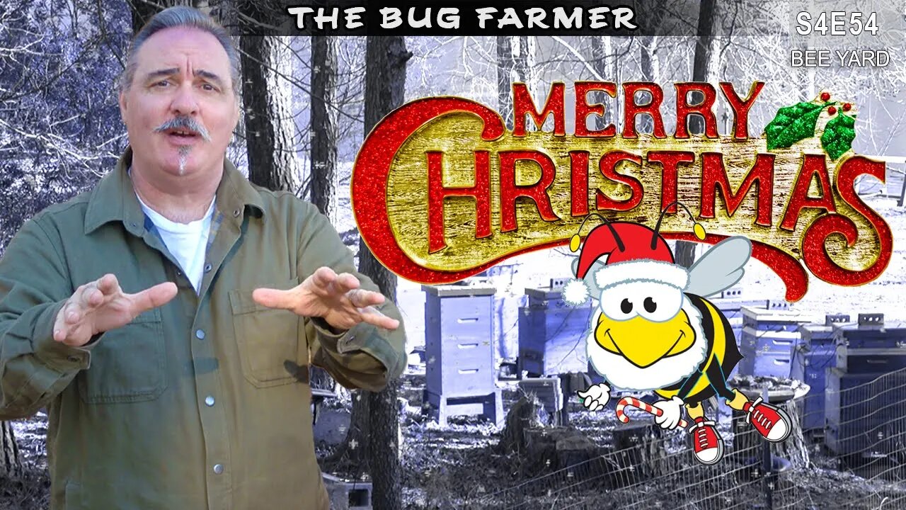 An Important Message From the Bug Farmer Channel #beekeeping #insects