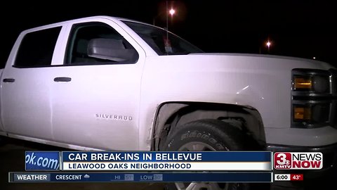 Series of car break-ins trouble Bellevue neighborhood