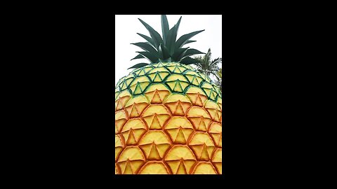 Big Pineapple 🍍 - Sunshine Coast