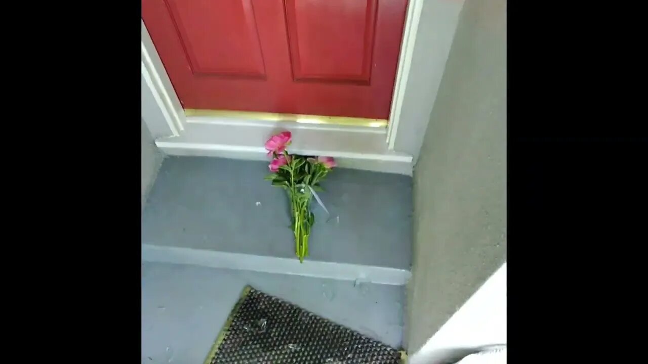 Delivering A Vase Of Flowers Fail! #MegaFails #Shorts