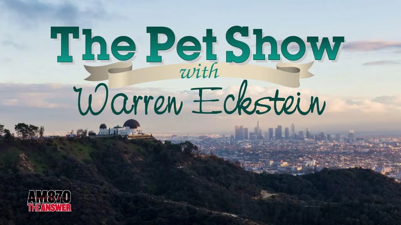 The Pet Show Live Stream 10-07-23