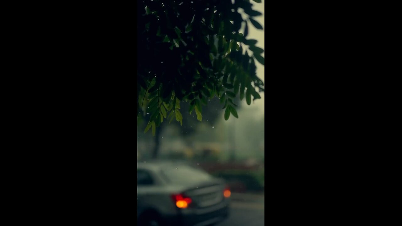 Rain Video