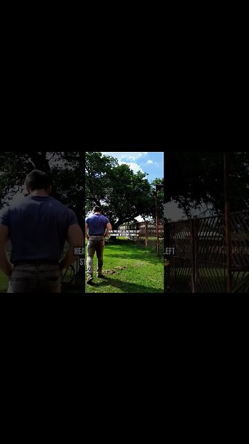 Heal the root so the tree is left standing tall ☯️ #selfimprovement #healing #truehealing #shorts