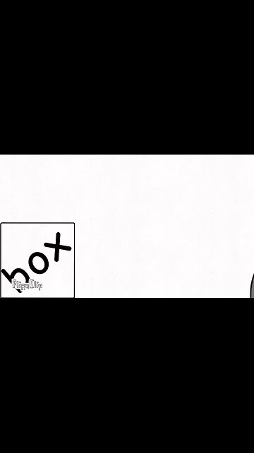 Ninja cats and the box