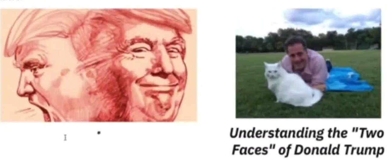 THE TWO FACES OF DONALD TRUMP