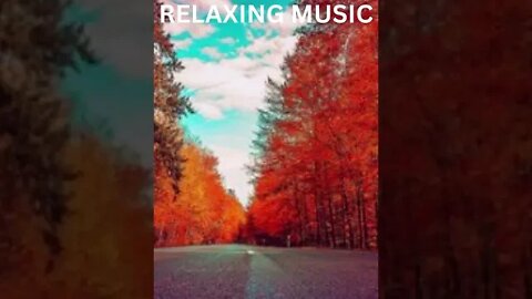 RELAXING MUSIC/DEEP SLEEP MUSIC/CALMING MUSIC/#shorts