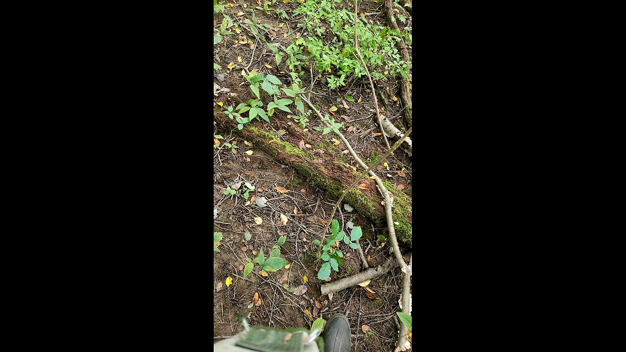 My first day scouting
