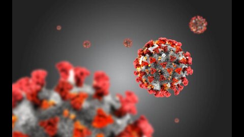 #covid #lockdowns Pastors John MacArthur and Rob McCoy on the Sars-NCoV-2 Virus lockdowns