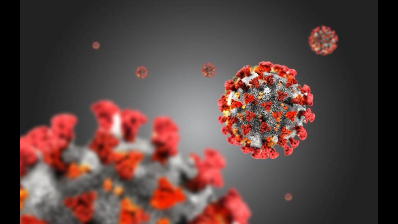 #covid #lockdowns Pastors John MacArthur and Rob McCoy on the Sars-NCoV-2 Virus lockdowns