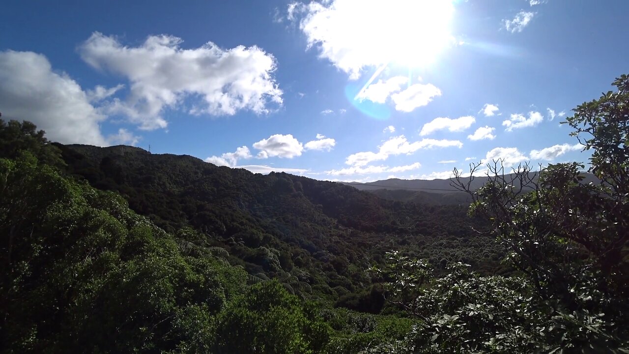 Hike: Towai Tower, Wainuiomata, New Zealand.