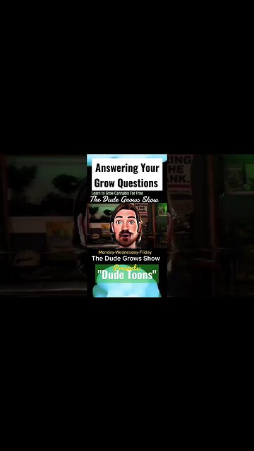 Subscribe and Ask Us Anything! Cannabis Growing.;Expert Techniques. The Dude Grows Show 🔥
