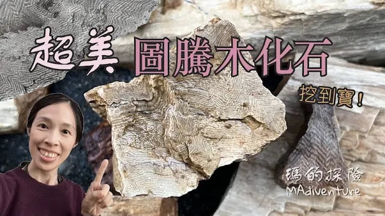 戶外探險 | 上山找Z字木化石 內藏瘋狂圖騰 外表卻像真木頭！Herringbone Petrified Wood Hunting Rockhounding in Washington