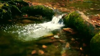 Running W A T E R Soft Relaxation Sounds | Soothing White Noise For Sleep, Studying , Focus| 1 hour