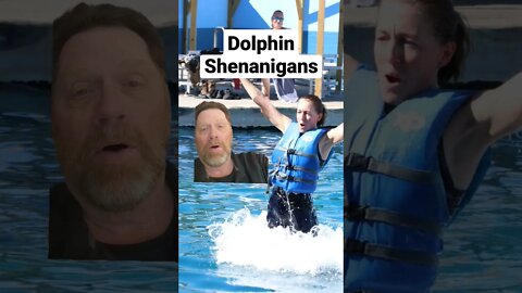 🐬Hurricane Got To Literally Play With Dolphins Today 🐬 Florida Vacation Vibes 🐬#shorts