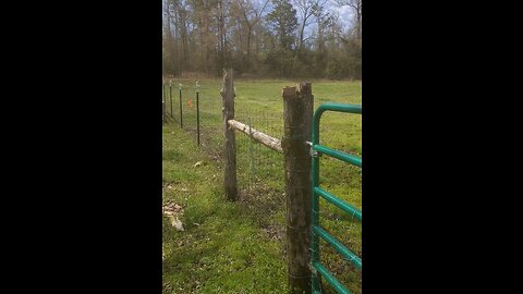 Let's Build Fence! The Long Stretch (Part 1)