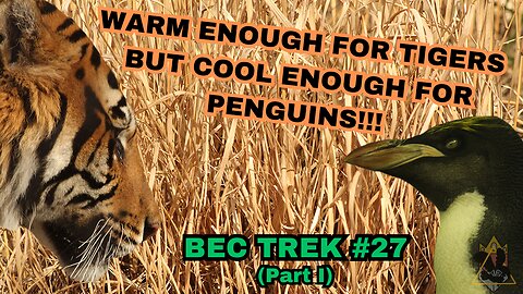 New Tiger and LOTS of Construction!!! | BEC TREK Episode 27 (Part 1)